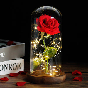 enchanted love rose - led glass dome forever rose valentine's day mother's day special romantic