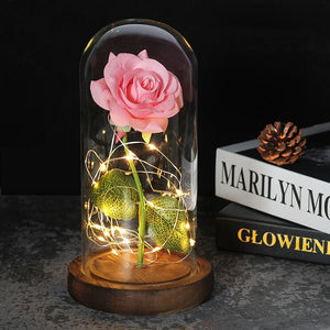 enchanted love rose - led glass dome forever rose valentine's day mother's day special romantic pink