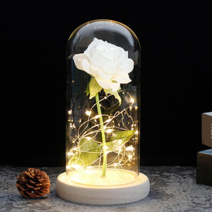 enchanted love rose - led glass dome forever rose valentine's day mother's day special romantic white